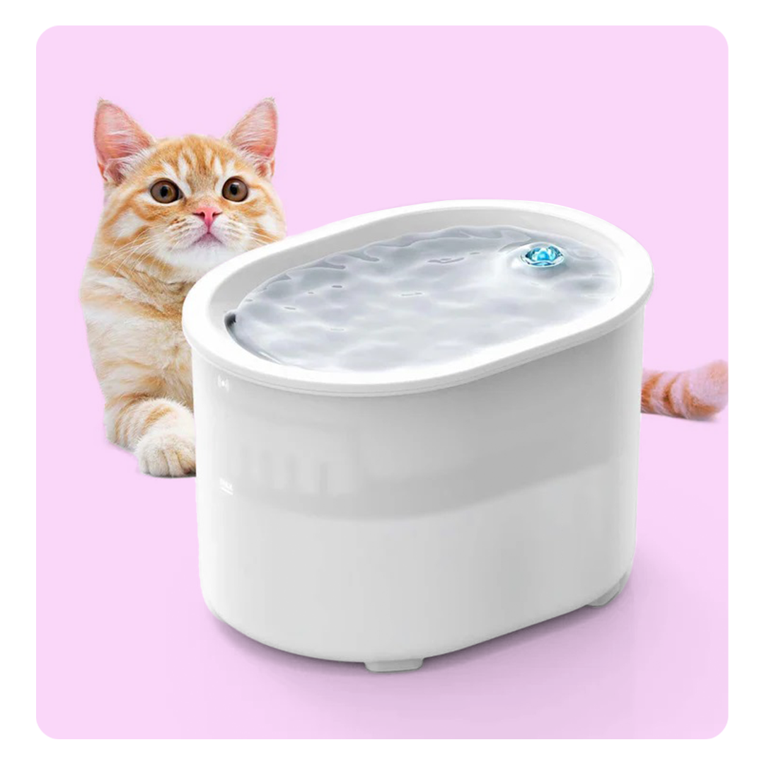 Wireless Cat Water Fountain With LED Light