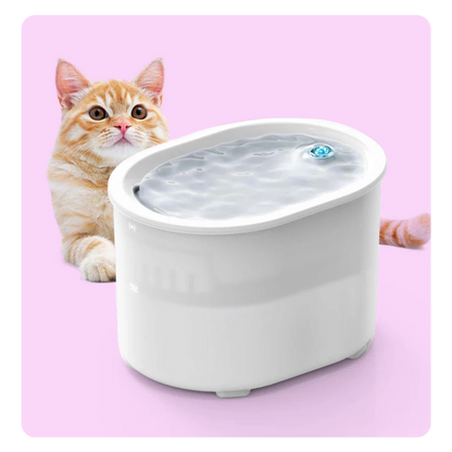 Wireless Cat Water Fountain With LED Light