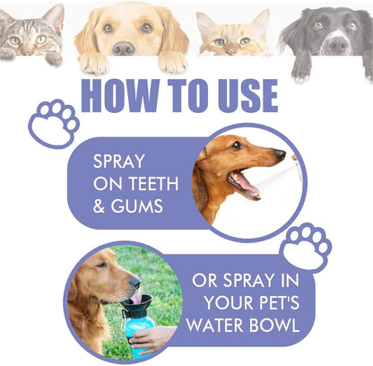 Pet Teeth Cleaning Spray