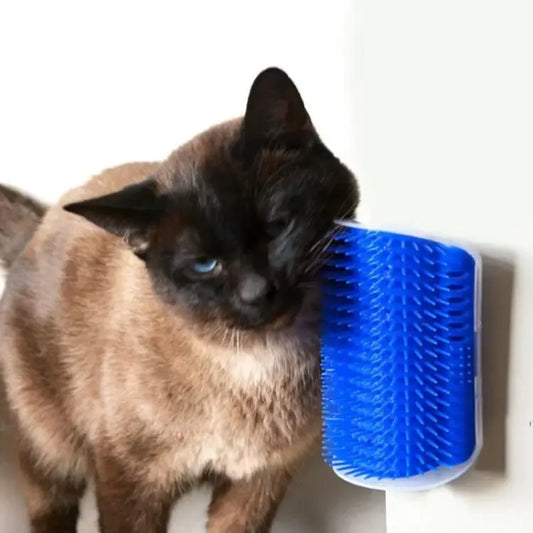 Wall Corner Massage Comb